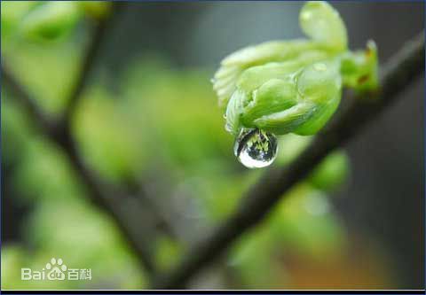 喜訊！2017新年開(kāi)工第一份中標(biāo)通知書(shū)